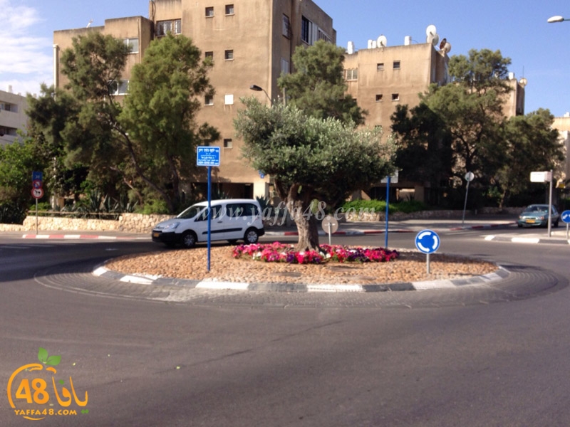 yosef jorgej deek (1).jpg